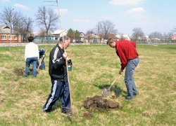 Actions “Clean Environment” and “Plant a Tree”